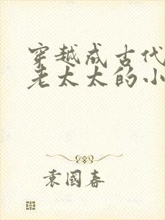 穿越成古代农家老太太的小说