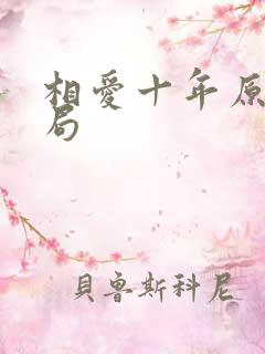 相爱十年原著结局