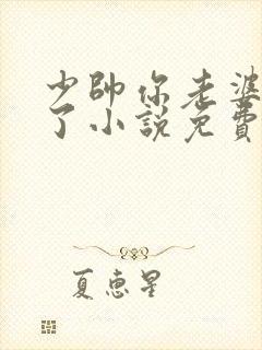 少帅你老婆又跑了小说免费阅读