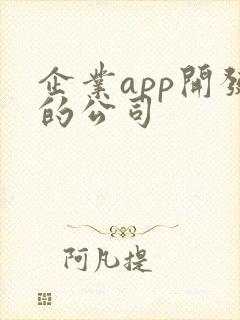 企业app开发的公司