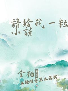 请给我一粒盐的小说