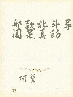 哪款北斗导航地图是真的