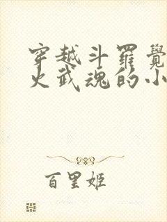 穿越斗罗觉醒异火武魂的小说