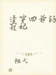 清穿四爷的心尖宠妃