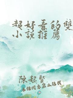 超好看的双男主小说推荐