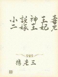 小说神王毒宠:二嫁王妃免费看