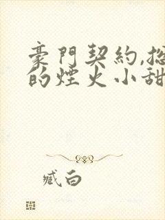 豪门契约,总裁的烟火小甜妻