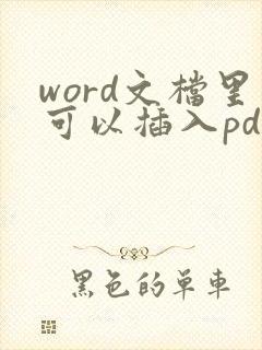 word文档里可以插入pdf文件吗