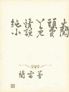 纯情丫头火辣辣小说免费阅读全文