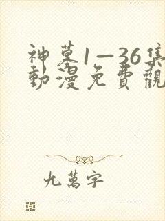 神墓1—36集动漫免费观看流畅