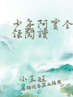 少年阿宾全文目录阅读