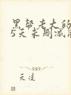 黑帮老大的365天未删减版