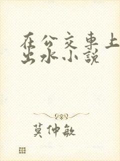 在公交车上被摸出水小说