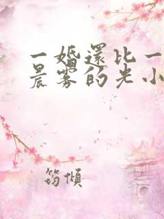 一婚还比一婚高晨雾的光小说