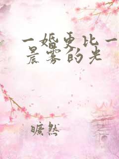 一婚更比一婚高 晨雾的光