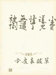 被无情道小师弟倒追了免费阅读