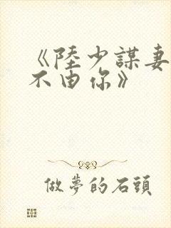 《陆少谋妻:婚不由你》