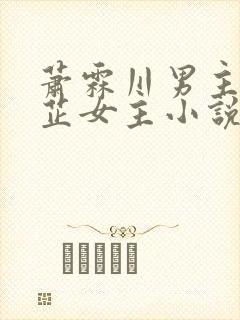 萧霖川男主云沐芷女主小说