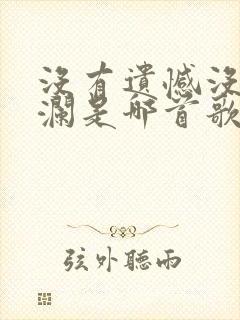 没有遗憾没有波澜是哪首歌的歌词