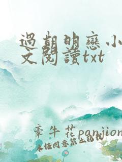 过期明恋小说全文阅读txt