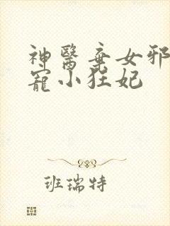 神医弃女邪王嗜宠小狂妃