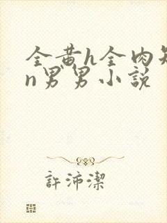 全黄h全肉短篇n男男小说