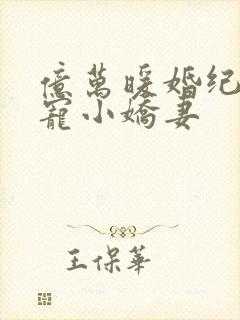 亿万暖婚纪少豪宠小娇妻