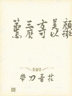 第三方美颜软件怎么可以微信视频