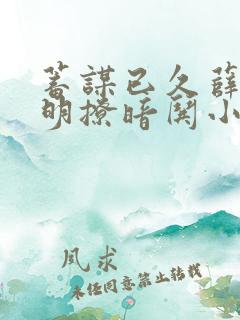 蓄谋已久薛总他明撩暗哄小说免费阅读