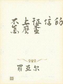 不上征信的网贷怎么查