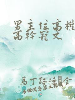 男主位高权重的高干宠文