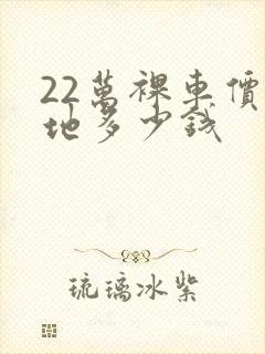 22万裸车价落地多少钱