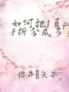 如何把1页pdf拆分成多页的