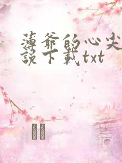 薄爷的心尖宠小说下载txt