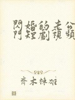 闪婚的老公是豪门短剧视频全集