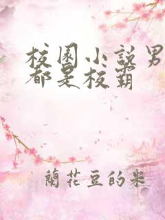 校园小说男女主都是校霸