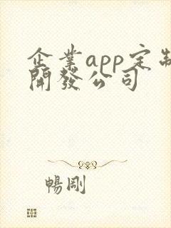 企业app定制开发公司