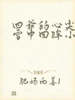 四爷的心尖宠妃雪中回眸小说免费完本