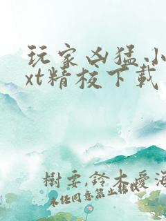 玩家凶猛小说txt精校下载