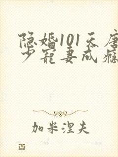 隐婚101天唐少宠妻成瘾 南之情