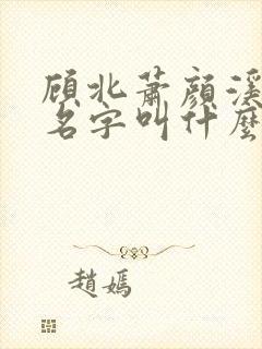 顾北萧颜溪小说名字叫什么