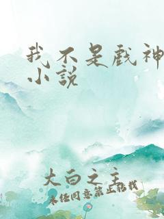 我不是戏神免费小说