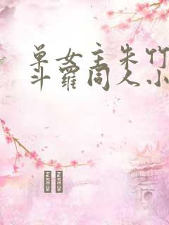 单女主朱竹清的斗罗同人小说