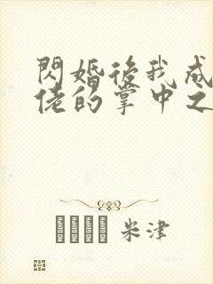 闪婚后我成了大佬的掌中之物免费全集