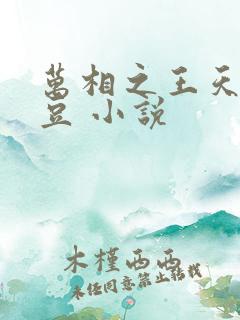 万相之王天蚕土豆 小说