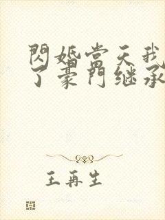 闪婚当天我怀上了豪门继承人