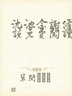 沈池念谢修鸣小说免费阅读最新章节