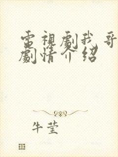 电视剧我哥我嫂剧情介绍