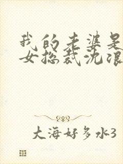 我的老婆是冰山女总裁沈浪最新版