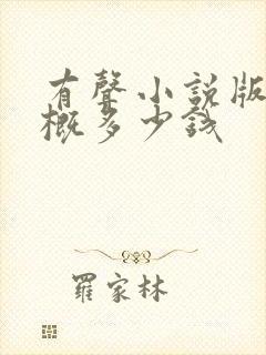 有声小说版权大概多少钱